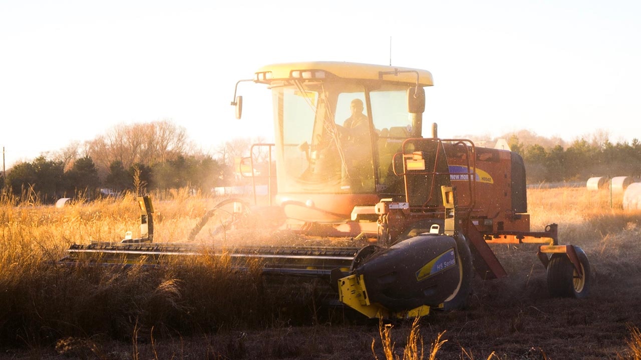 farming